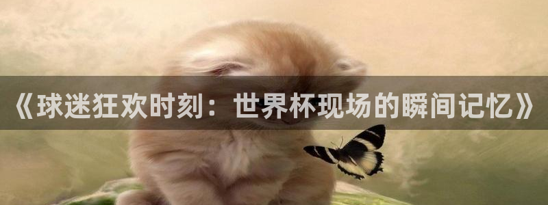 世界杯预选赛欧洲赛区赛程:《球迷狂欢时刻:世界杯现场的瞬间记忆》
