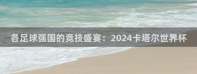 世界杯对阵图2026:各足球强国的竞技盛宴:2024卡塔尔世界杯