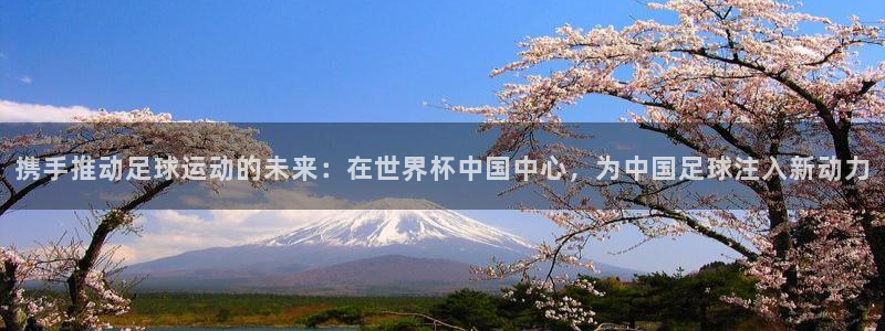 世界杯时间:携手推动足球运动的未来:在世界杯中国中心,为中国足球注入新动力