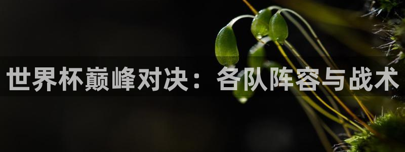 2026世界杯赛制:世界杯巅峰对决:各队阵容与战术