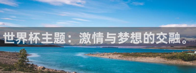 2026年世界杯赛程:世界杯主题:激情与梦想的交融。
