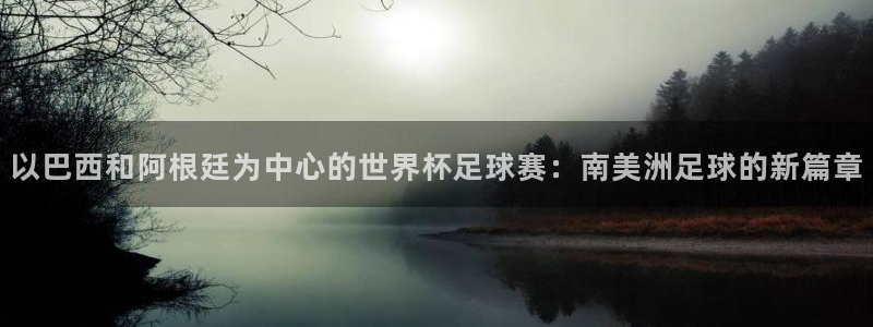 足球杯:以巴西和阿根廷为中心的世界杯足球赛:南美洲足球的新篇章