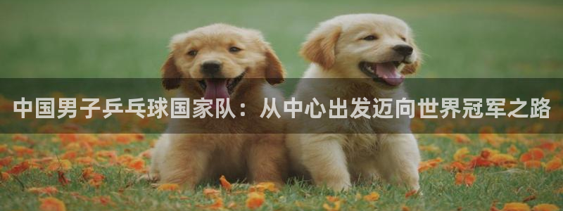世界杯赛程时间表:中国男子乒乓球国家队:从中心出发迈向世界冠军之路