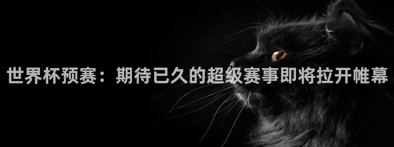 英格兰联赛杯直播:世界杯预赛:期待已久的超级赛事即将拉开帷幕