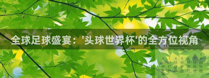 世界杯赛程表2026:全球足球盛宴:\'头球世界杯\'的全方位视角