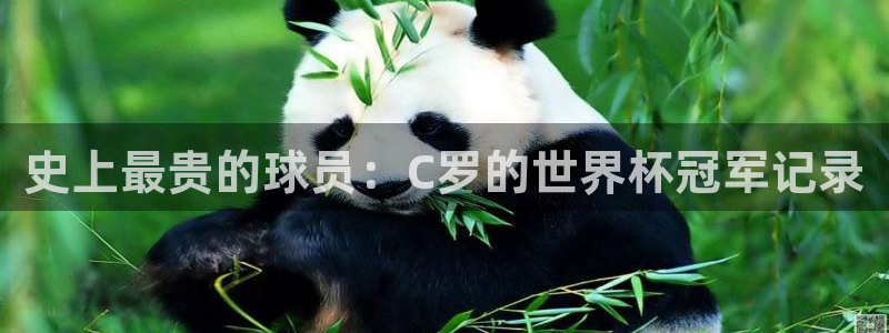 世界杯足球比赛:史上最贵的球员:C罗的世界杯冠军记录